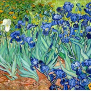 Irises Canvas Art Masterpiece Handpainted Painting Unframed