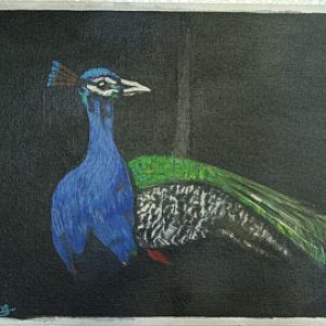 Beautiful Peacock Canvas Art Handpainted Painting Stretched On Hardboard (43cm X 34cm)