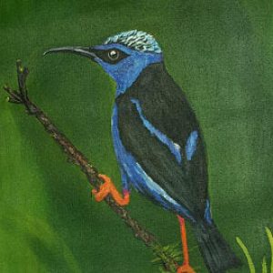 Beautiful Kingfisher Canvas Painting Handpainted Painting Without Frame (50cm X 38cm)