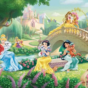 Disney Princess Canvas Art Poster Print On Canvas Without Frame