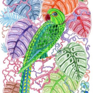 Colorful Parrot Canvas Art Painting Posters And Prints On Canvas (Without Frame)