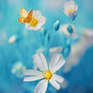 White Flowers Butterfly Canvas Painting Posters And Prints Unframed