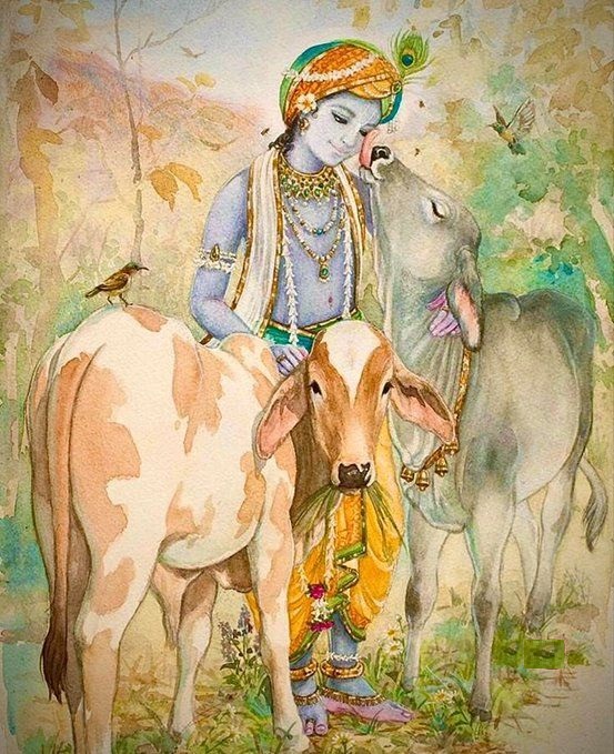 Lord Krishna With Cow Hand Painted Painting