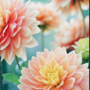 Floral Canvas Wall Art Painting Posters And Prints On Canvas (Without Frame)