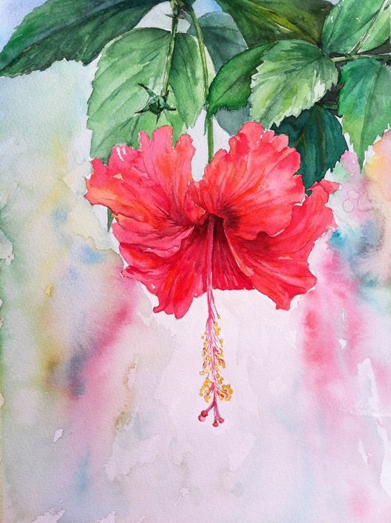 Red Hibiscus Hand Painted Painting