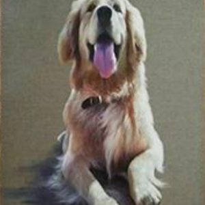 Artistic Dog Canvas Hand-Painted Painting