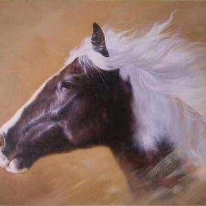 SoulSpaze Horse Head E Hand Painted Paintings on Canvas Wall Art Painting (Without Frame)