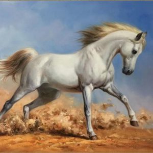SoulSpaze Horse Head G Hand Painted Paintings on Canvas Wall Art Painting (Without Frame)