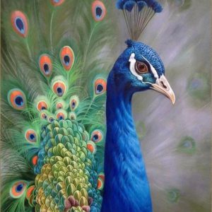 Graceful Peacock Canvas Art Hand-Painted Beauty