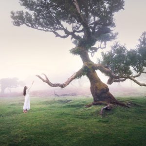 Nature Wall Art Print Painting On Canvas Without Frame