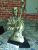 Cello Player Statue
