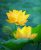 Exquisite Micro Lotus Painting – Hand Painted Painting