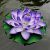 Exquisite Micro Lotus Painting – Hand Painted Painting