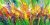 Abstract Colorful Pictures Quadro Flower Canvas Posters Prints Painting K No Frame