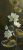 Hand-Painted White Flower Canvas Art – Botanical Elegance