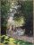 Famous Medieval Painting Water Lily Monet France Painting Poster And Prints On Canvas D (Without Frame)