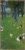 Gustav Klimt Golden Painting Prints On Canvas Retro Classic Wall Art Pictures D Without Frame