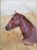SoulSpaze Horse Head A Hand Painted Paintings on Canvas Wall Art Painting (Without Frame)