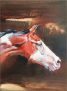 SoulSpaze Horse Head C Hand Painted Paintings on Canvas Wall Art Painting (Without Frame)