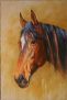 SoulSpaze Horse Head D Hand Painted Paintings on Canvas Wall Art Painting (Without Frame)