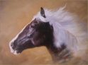 SoulSpaze Horse Head E Hand Painted Paintings on Canvas Wall Art Painting (Without Frame)