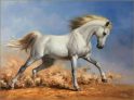 SoulSpaze Horse Head G Hand Painted Paintings on Canvas Wall Art Painting (Without Frame)