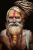 Kumbh mela Priest Hand-Painted Painting On Canvas Unframed