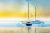 New Boat At Sea Handpainted paintings on Canvas Wall Art Painting (Without Frame)