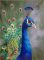 Peacock Hand Painted Paintings on Canvas Wall Art Painting (Without Frame)
