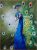 Exquisite Peacock Canvas Art Hand-Painted Masterpiece