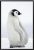 Penguin Family Painting Poster And Print On Canvas (Without Frame)