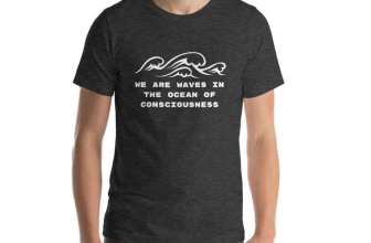 We are waves in the Ocean of Consciousness