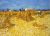 Vincent Van Gogh Famous Painting Poster And Print On Canvas Design D (Without Frame)