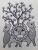 The Three Lion Black&White Gond Painting-Handmade on paper (without frame)